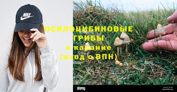 герыч Бородино