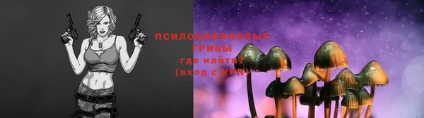 spice Бронницы