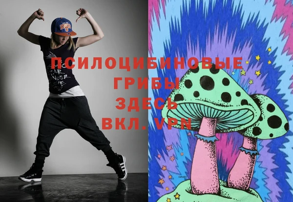 герыч Бородино