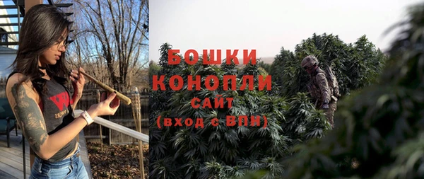 молекула духа Кущёвская
